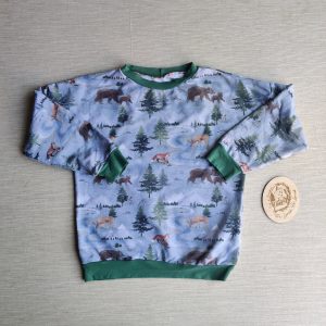 PRE-LOVED; RE-LOVED Age 6 French Terry Sweater EUC Down By the River/Dusty Green