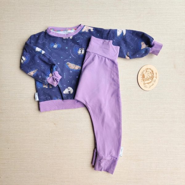 PRE-LOVED RE-LOVED Age 1 OUTFIT: Dolman Sweater and Harems EUC MM Arctic Animals/Lilac