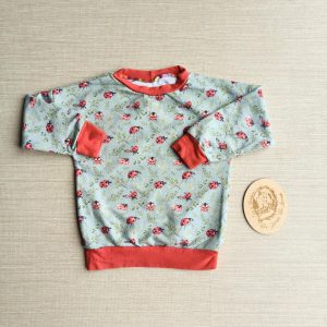 PRE-LOVED; RE-LOVED Age 2 French Terry Sweater EUC Ladybugs/Red