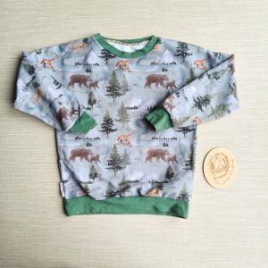 PRE-LOVED; RE-LOVED Age 3 French Terry Sweater EUC Down by the River/Sage Green