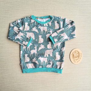 PRE-LOVED; RE-LOVED Age 3 Long Sleeve T Shirt MM Nordic Animals/Turquoise EUC