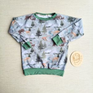 PRE-LOVED; RE-LOVED Age 5 French Terry Sweater EUC Down by the River/Sage Green