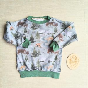 PRE-LOVED; RE-LOVED Age 2 French Terry Sweater EUC Down by the River/Green