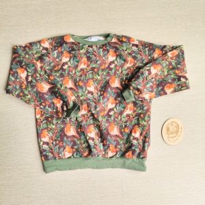 PRE-LOVED; RE-LOVED Age 12 French Terry Sweater EUC Robin Redbreast/Olive with poppered neckline
