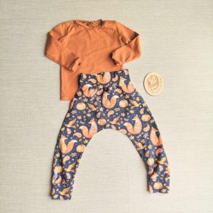 PRE-LOVED; RE-LOVED Age 2 OUTFIT: Harems and Long Sleeve T EUC MM Autumn Foxes/Rust